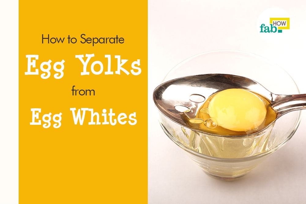 Separate-Egg-Yolks-from-Whites
