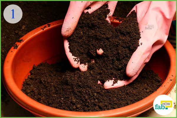 Fill a small planter with compost