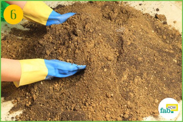 Preparethe soil for transplanting the seedling