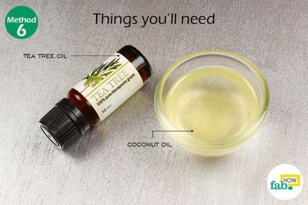 Remove dandruff tea tree and coconut oil things need