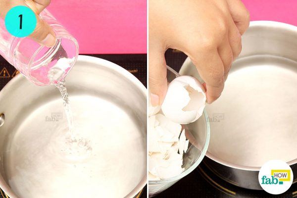 put eggshells and water in a pan
