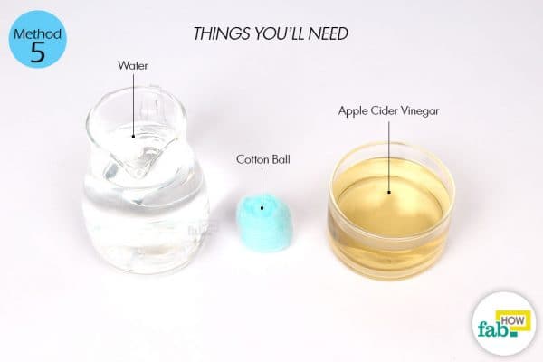 things you'll need