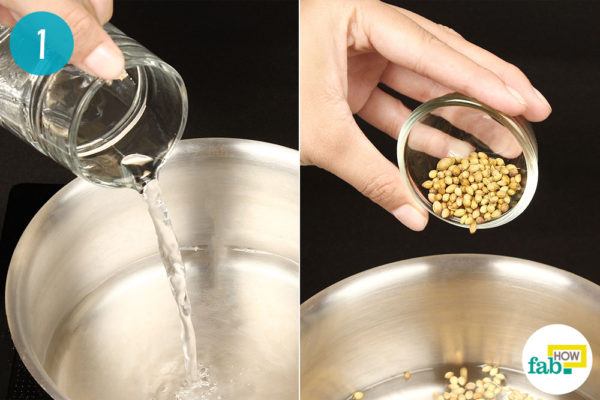 boil coriander seeds in water