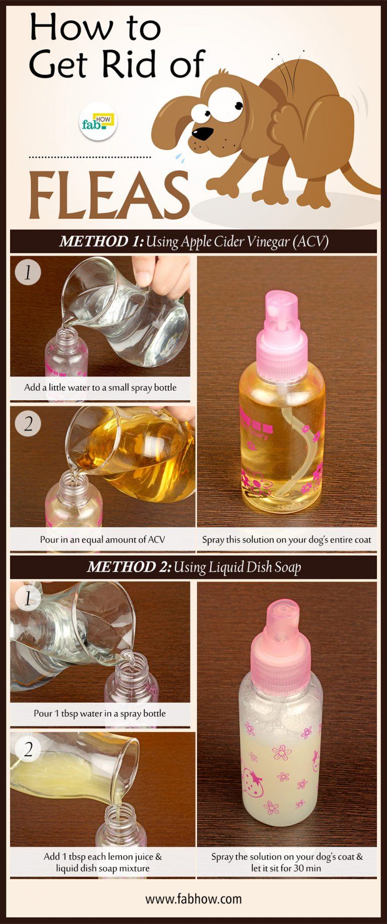 How To Get Rid Of Fles