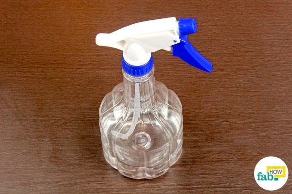 spray vinegar solution to get rid of ants 