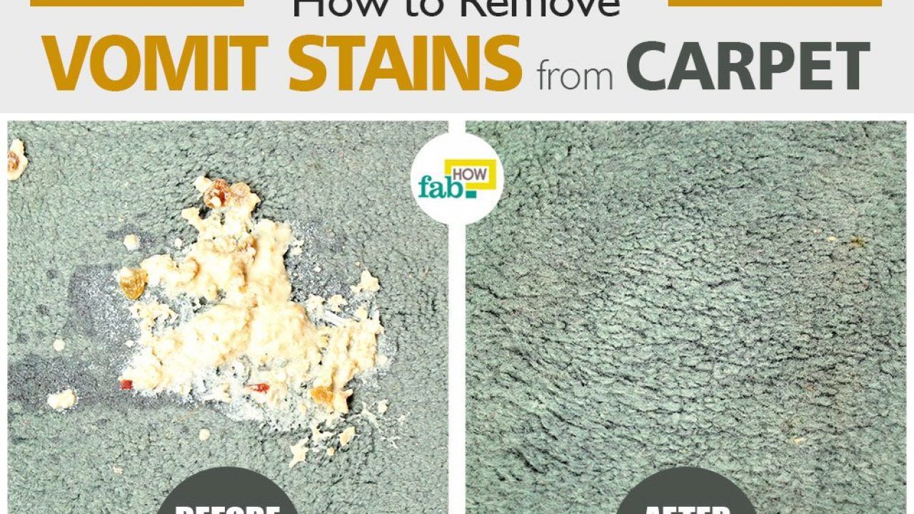 How to Remove Vomit Stains from Carpet (Top 12 Methods)  Fab How