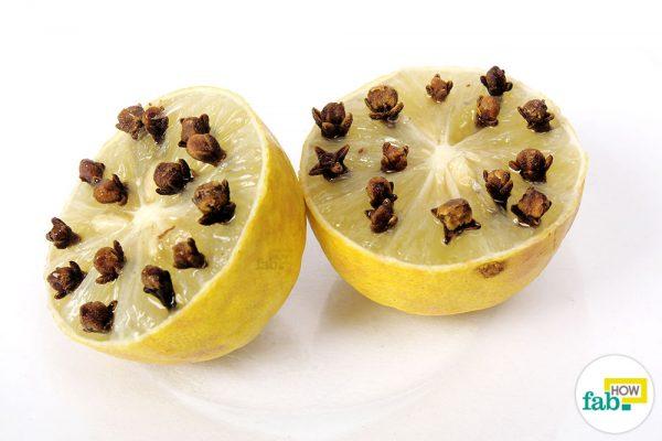 lemon and cloves to deter flies 