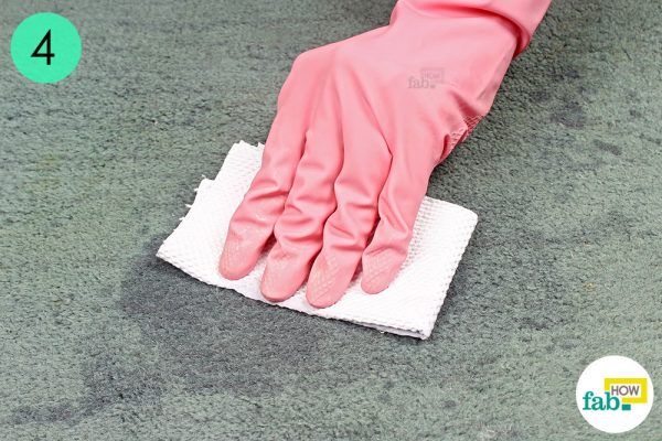blot the liquid to clean pet urine stains on carpet 
