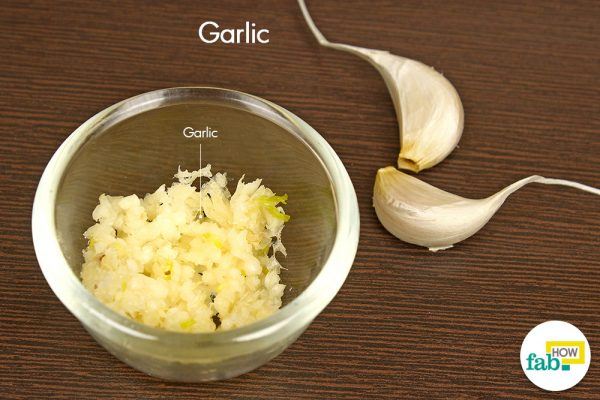 garlic for cold sore