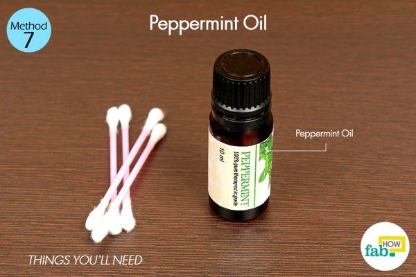 peppermint oil for cold sore things need