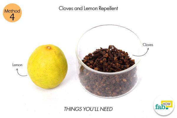 cloves and lemon repellent things need 