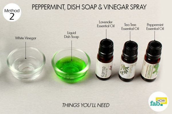 peppermint, vinegar, dish soap to kill spiders things need 
