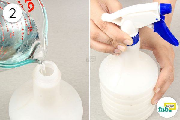 pour the mixture ina spray bottle to get rid of spiders 