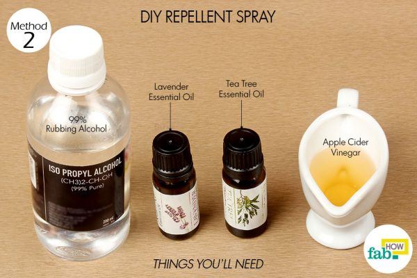 repellent spray for carpenter bees things need 
