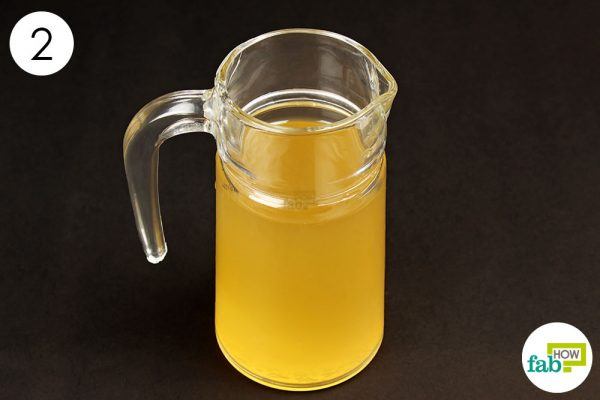 diluted acv for hair loss