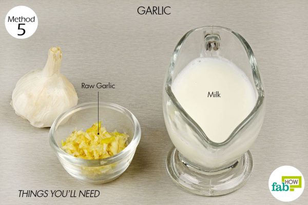 garlic for asthma