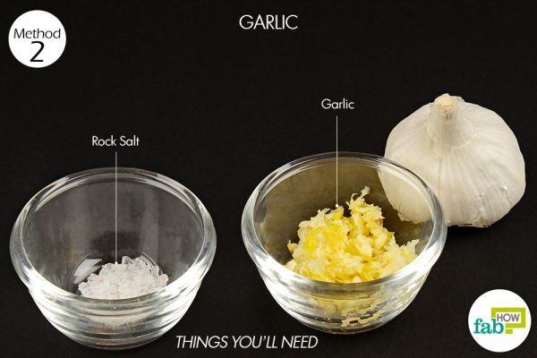 garlic to treat cavity things need 