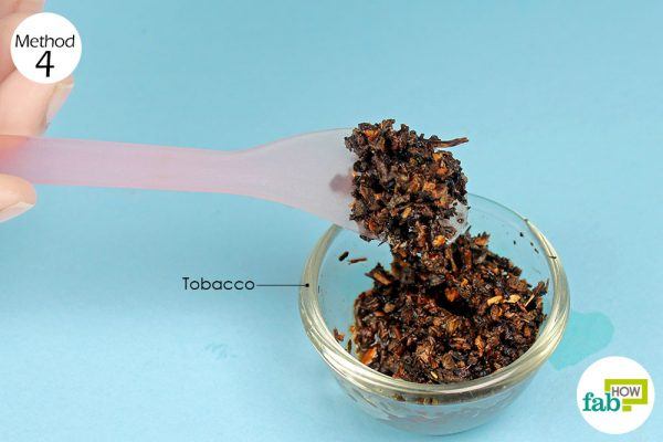 use tobacco to treat a bee sting