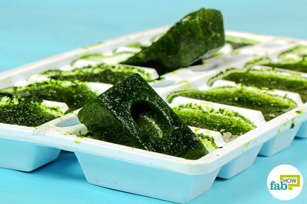 final for green vegetables in ice cube tray hacks