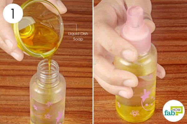 make soap solution in spray bottle