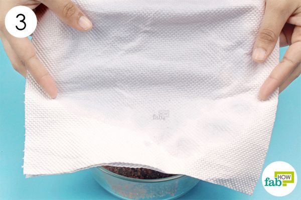 cover the bowl with damp paper towel