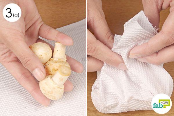 wrap mushroom in papaer towel