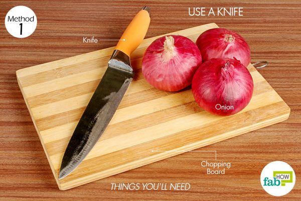 things you need how to cut onions use a kniffe
