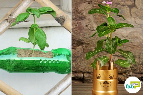 planter made with plastic bottle