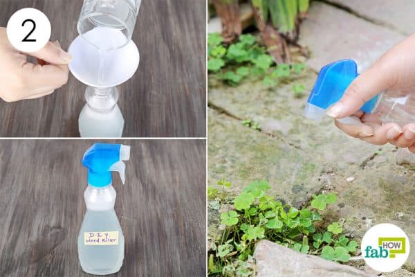 Store in a spray bottle and spray-to make DIY weed killer