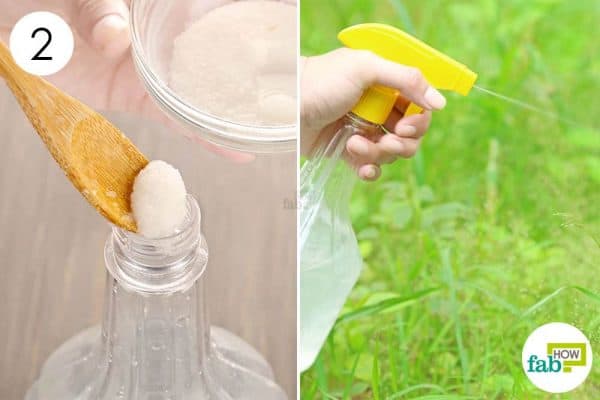 Further dilute it in water to make DIY weed killer