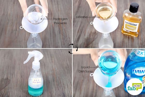 Mix Dawn dish soap with hydrogen peroxide and Listerine to make DIY ant killer 