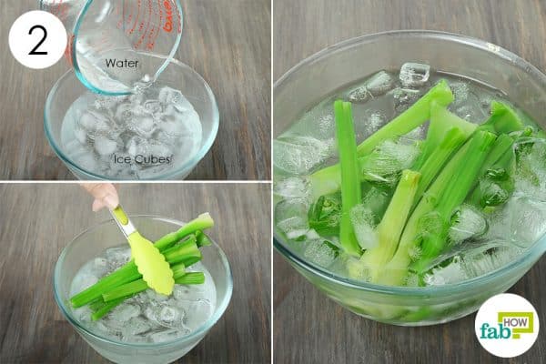 transfer the celery directly from hot into cold water to store celery