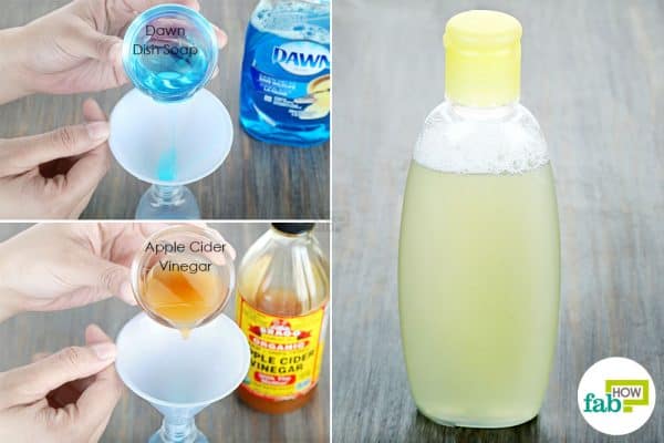 Mix dish soap with apple cider vinegar to use Dawn dish soap for dog fleas