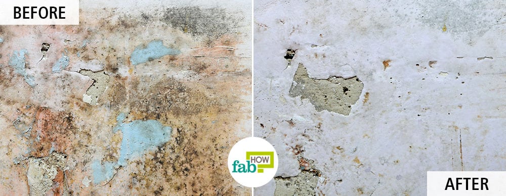 use baking soda to get rid of mold and mildew