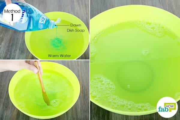 mix dish soap with water to use Dawn dish soap for dog fleas