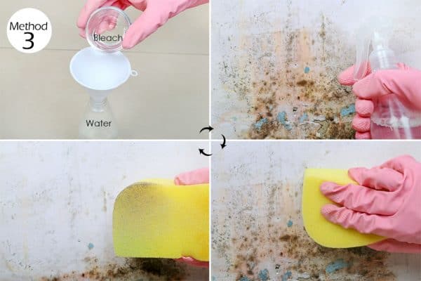 use bleach to get rid of mold and mildew