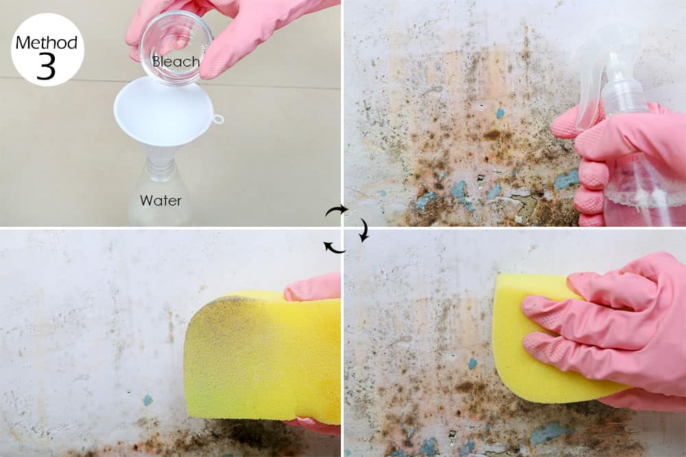 How to Get Rid of Mold and Mildew (We Tested 5 Methods) | Fab How - How To Get Rid Of Mold Spores In The Air