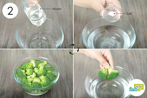soak the florets in a saline solution to store broccoli