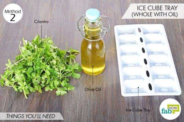 things needed to store cilantro with olive oil