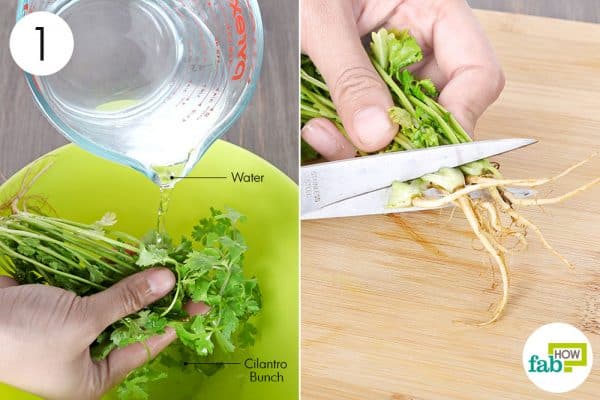 wash and chop to store cilantro