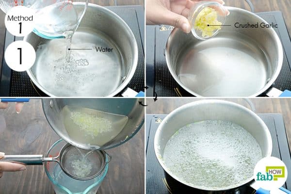 boil crushed garlic in water to make DIY homemade bug spray