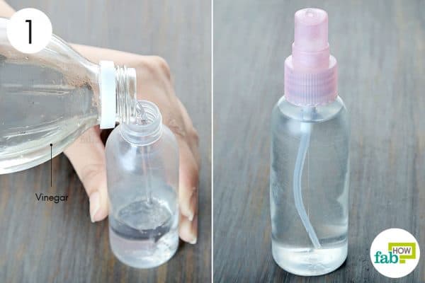 fill up a spray bottle with white vinegar to remove chewing gum from clothes