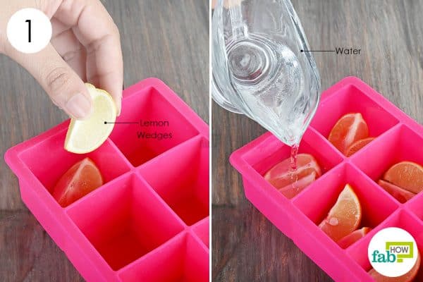 Place the wedges in an ice cubee tray and add water to store lemons