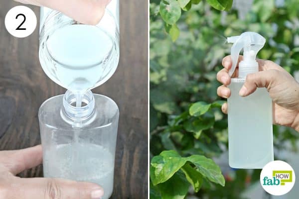 store in a spray bottle and use to make DIY organic pesticide