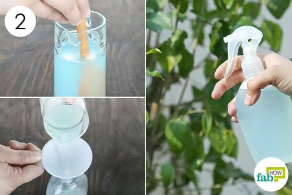 store in a spray bottle and use to make DIY organic pesticide