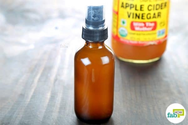 apple cider vinegar homemade hair conditioner