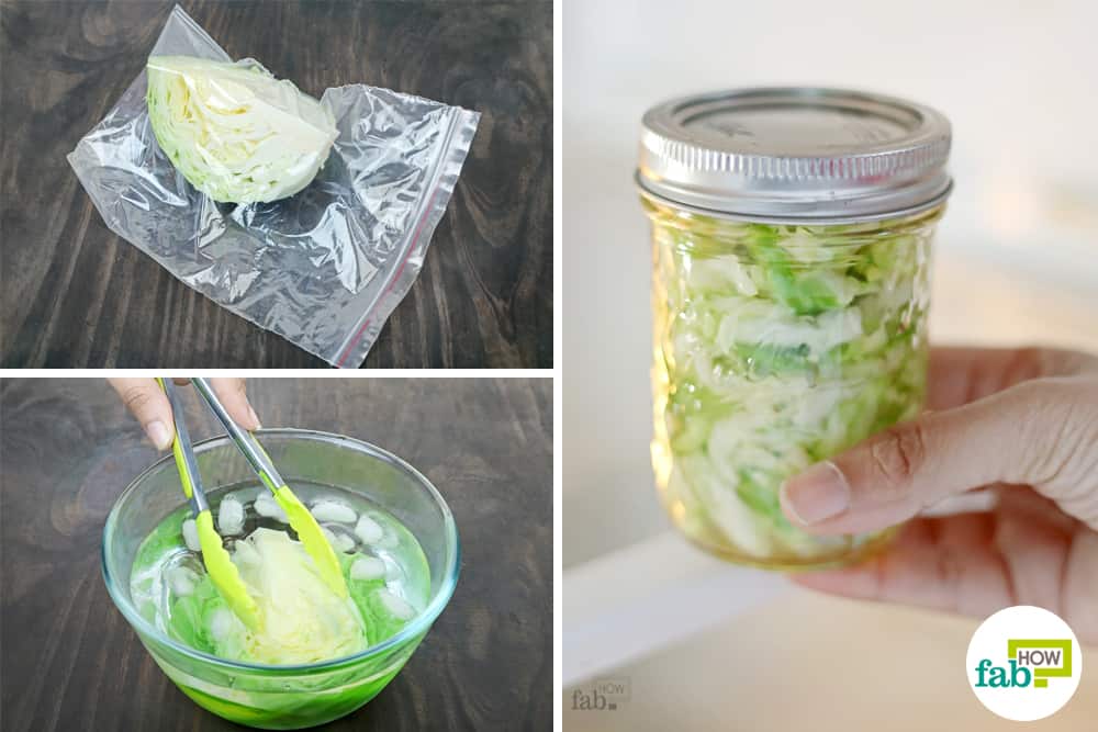 How to Store Cabbage the Right Way (For Up To 1 Year) | Fab How