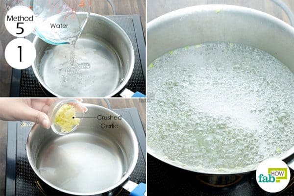 boil crushed garlic in water to make diy bug spray for skin