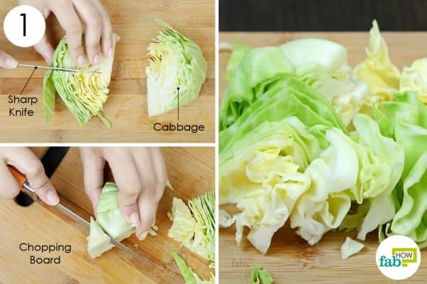 coarsely chop to store cabbage the right way