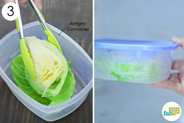 put in airtight container to store cabbage the right way